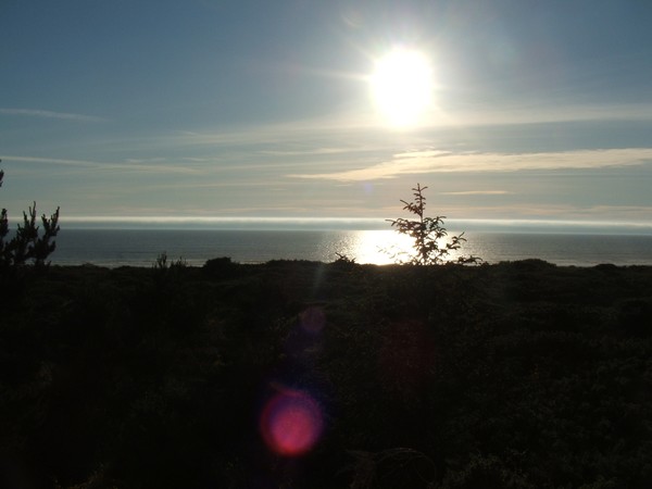 Bandon State Park