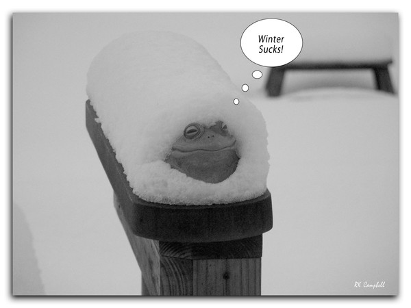 Winter Sucks