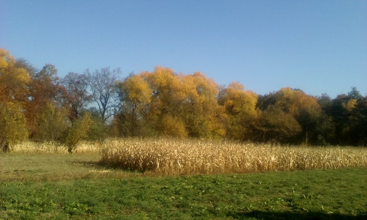 October in my village
