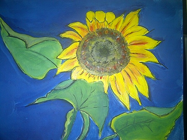 Blue Sunflower