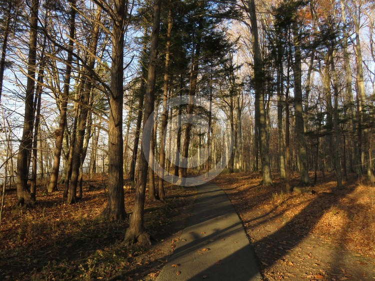 Nature trail