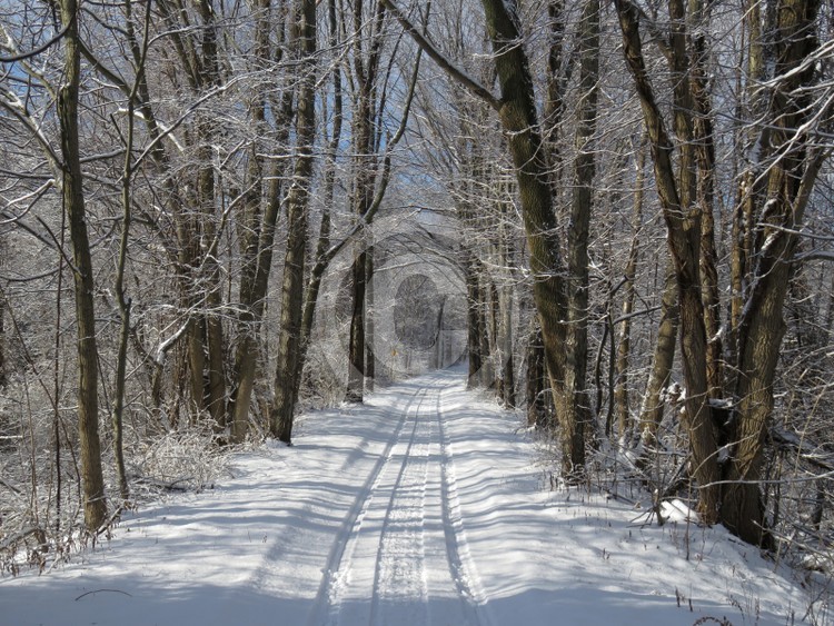 Snow trail