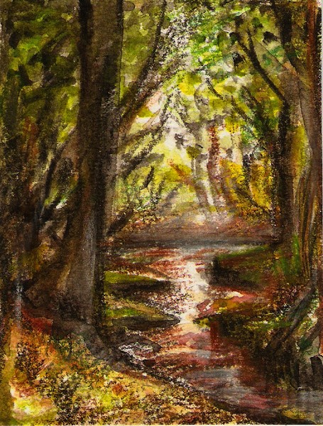 Springbrook
