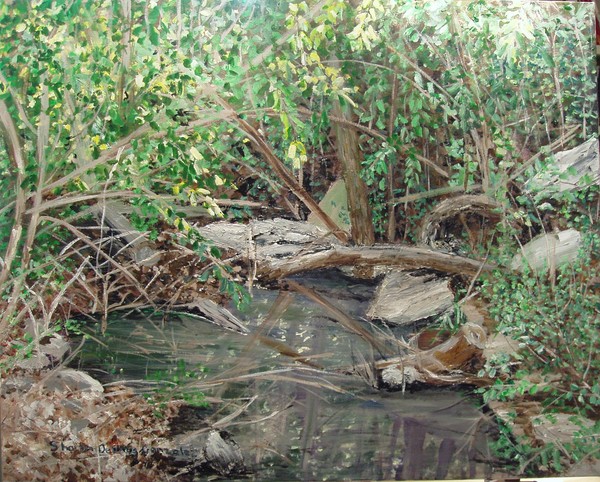 Alma House Creek