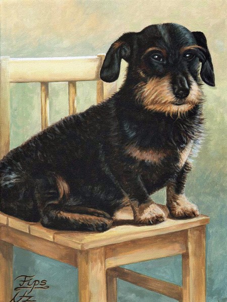 Dachshund Fips
