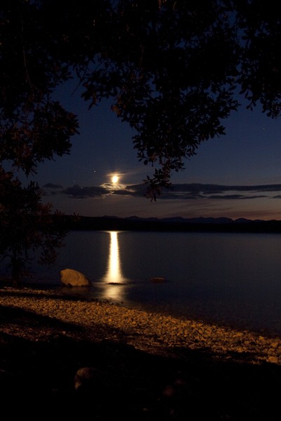 Moonlit night