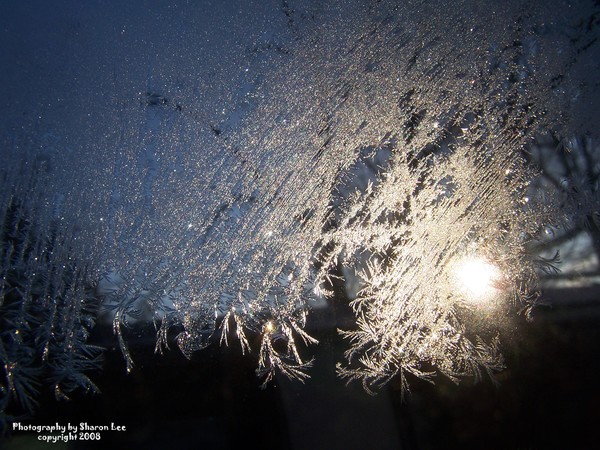 Tropical Ice Storm