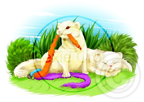watermarked copy 2