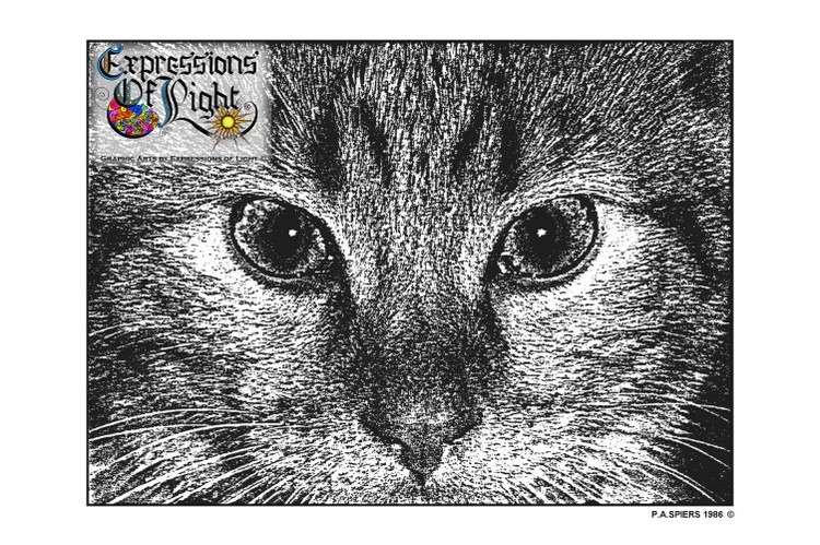 ExpoLight-Graphic-Arts-Cats-Eyes-1986-0001 (Pen-&-Ink-Photo-Mono-SP)