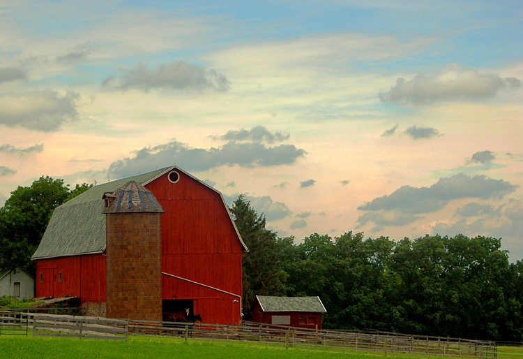 Vivid Country