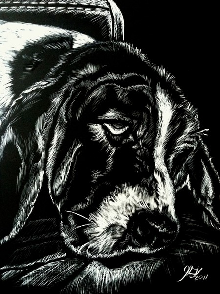Scratch Basset
