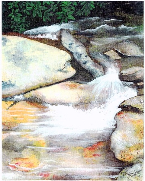 Smoky Mountains Waterfall