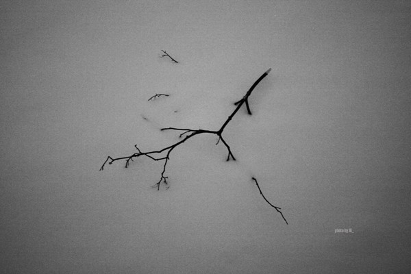 drowning of an untimely will - berlin2010