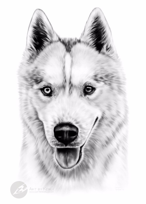Apollo