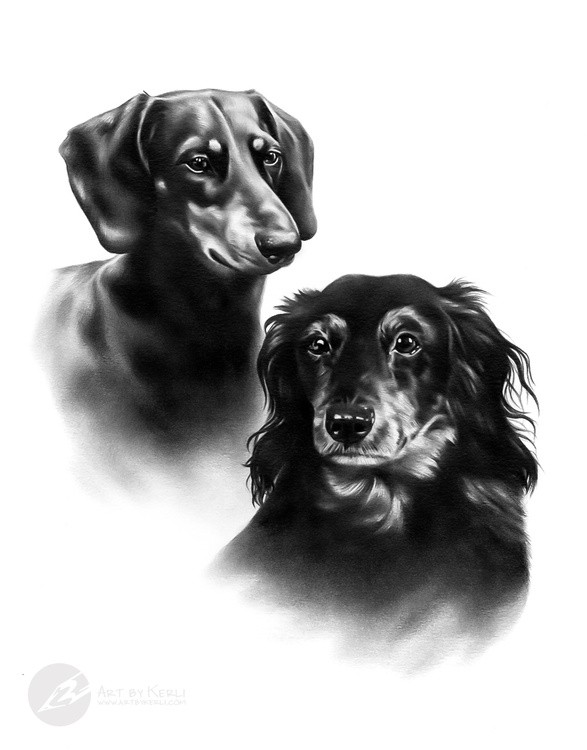 Pätu & Rico