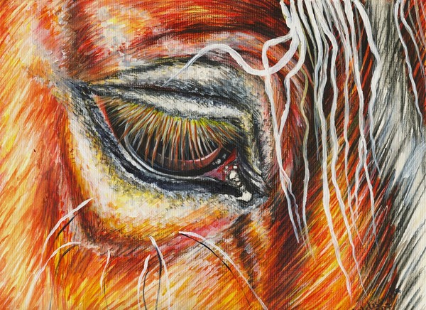  Giclee Horse Print On Canvas 