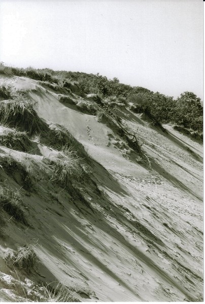 Indiana Dunes in B/W