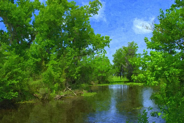 Marsh