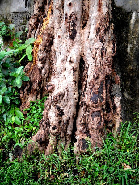 Trunk with 3-D sculptures