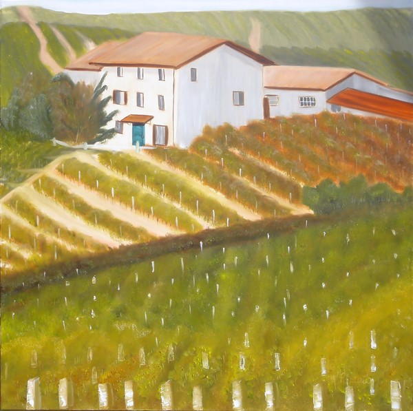 vineyard