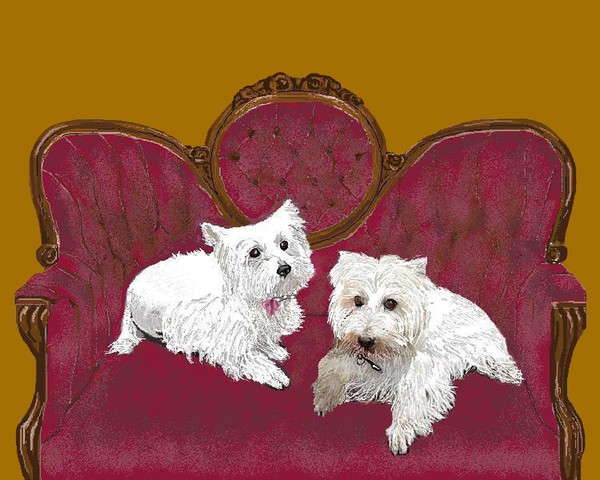 Teena and Toby