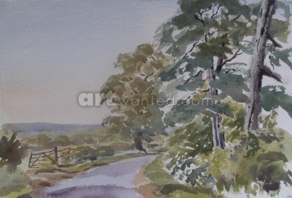 Scotts Pines, Northants, UK