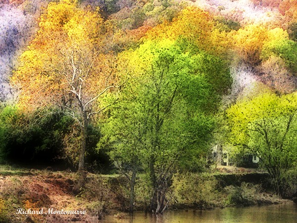 Surreal Trees