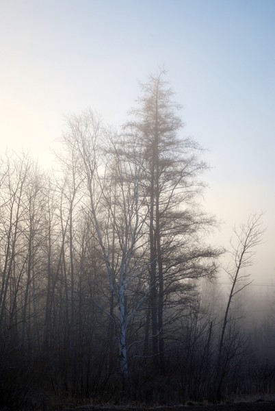 mist