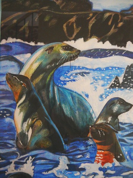 sealsinwater