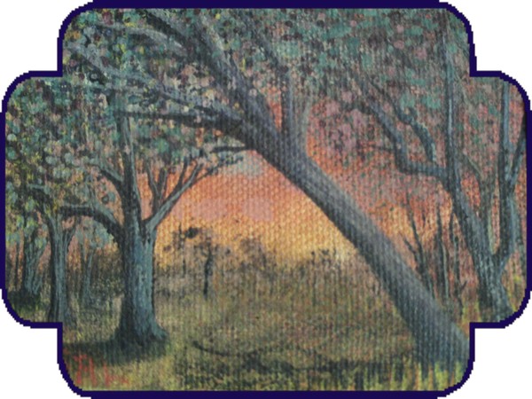 Forgot title? by Sal Caruso (c.) circa 97'