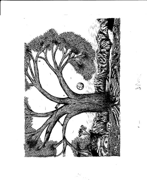 First Tree Drawing 