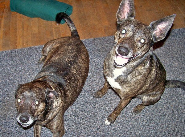 Pepper and Tosh