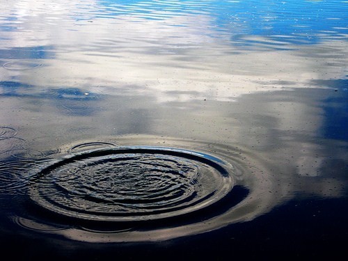 drip drop