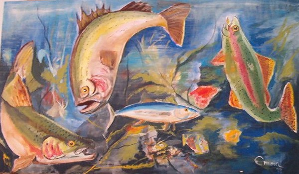 large fish