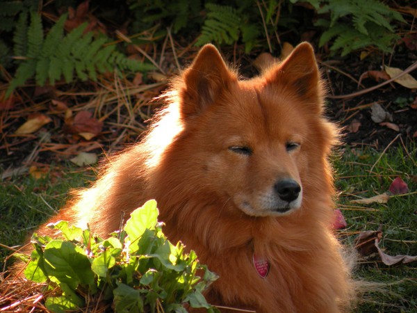 Cindy Loves the Sun 2