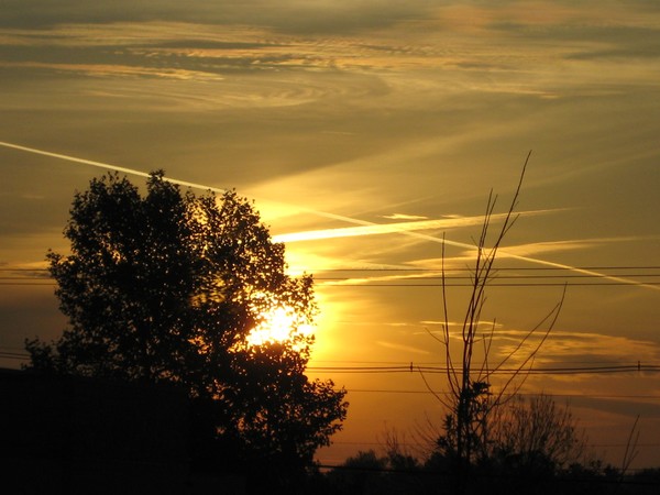 Sunrise 1 