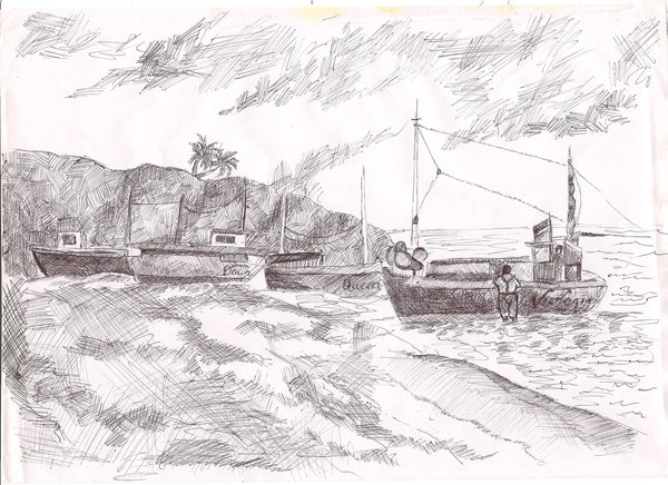 beached boats