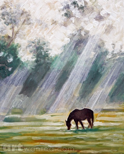 Pony in a misty field