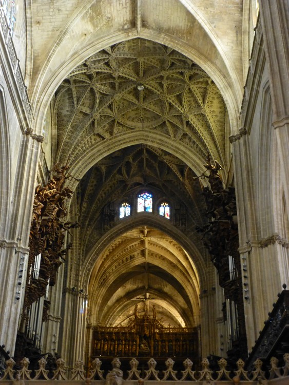 P1080594