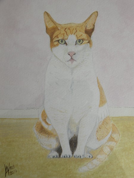 An Egyptian cat