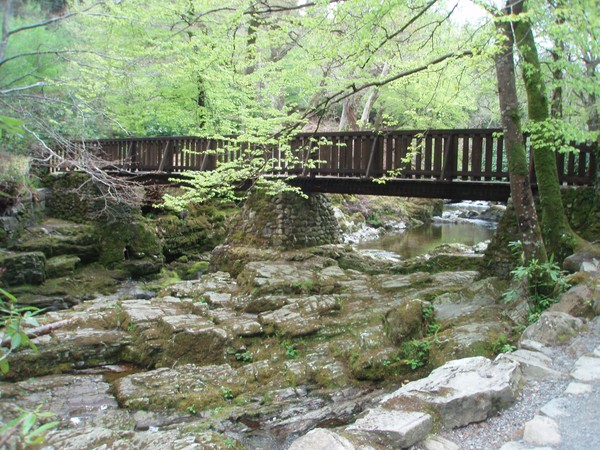 Bridge over water