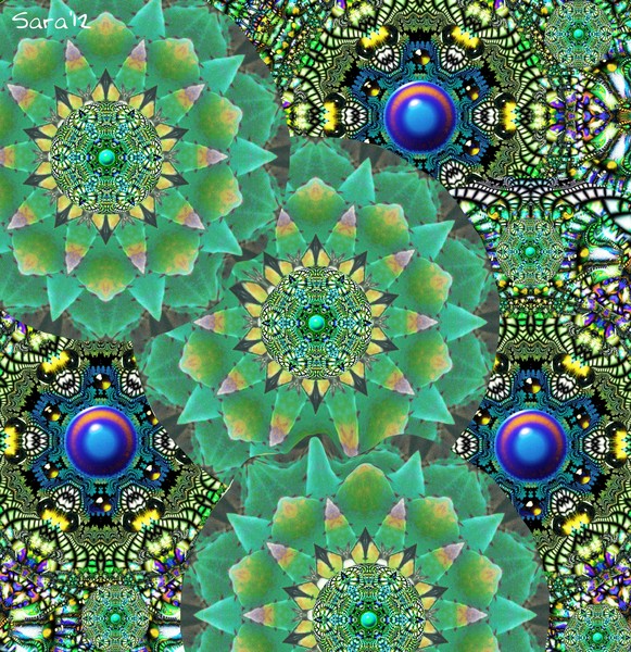 Fractal Flowers