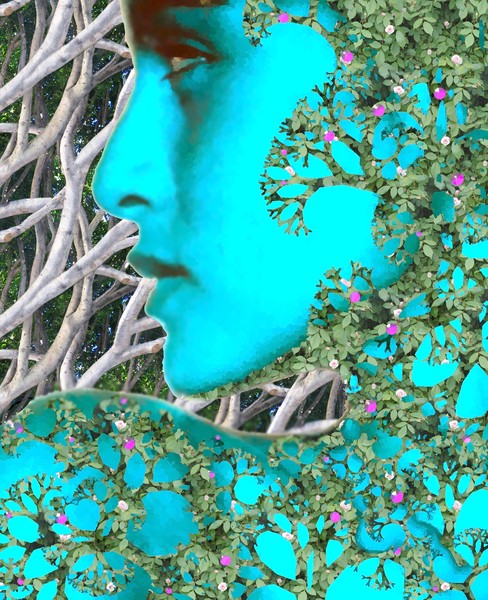 Dryad 3