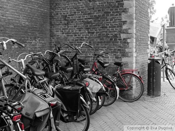 Still life with red bike