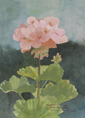 Blush Of Summer