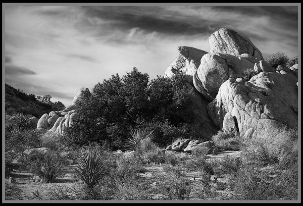 Black and White Scene from Yucca Valley #2