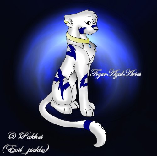 Kougra of the Moon