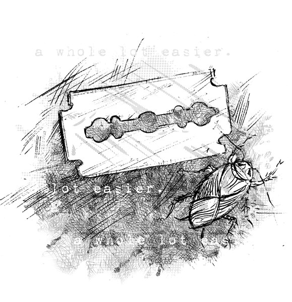 Book illustration 6