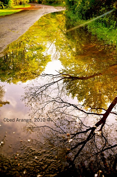 Reflections of the Road/Reflexiones del camino
