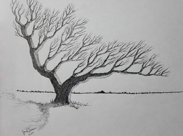 The Tree of Wayward Winds